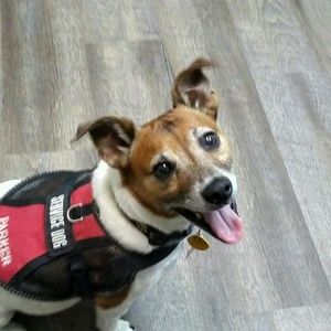 Meet your Posher, Cynthia